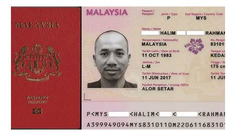 Malaysia Single Entry Visa - Passport.MY