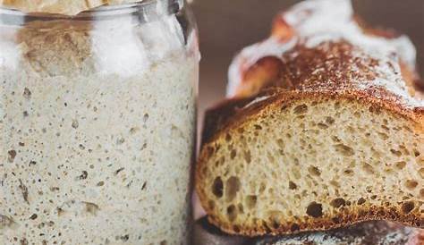 Tipos de levaduras: Levaduras y fermentos en panadería. | Scoolinary Blog