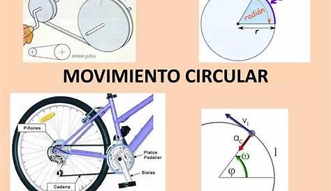 Movimiento Circular Uniforme | Movimiento (física) | Velocidad