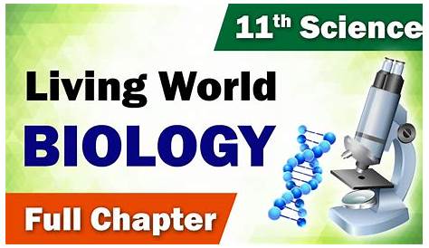 CBSE Class 11 Biology: Key Chapters for NEET 2024 | Infinity Learn