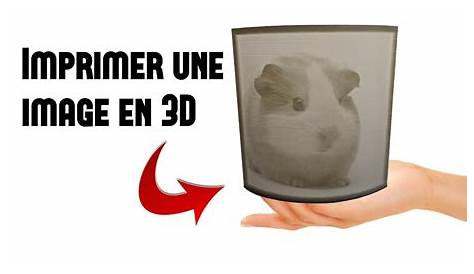 Figurine IMPRESSION 3D - 3D PRINT - YouTube