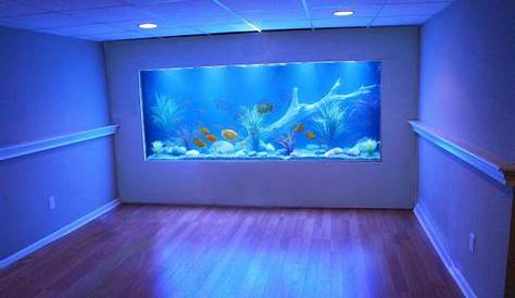 In Wall Fish Tanks Aquarium 10 Amazing s Submitted By Our Users Nualgi