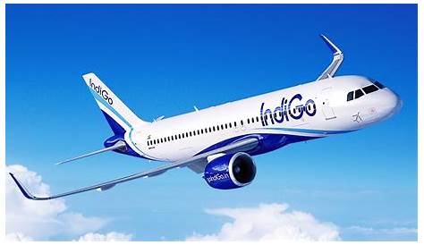 Indigo Airlines Hd Images Interview Questions Of IndiGo With Answers,career