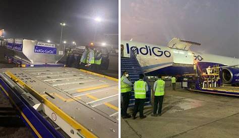 Indigo Cargo Delhi Number Coral Glass IndiGo Transports Over 50 Tonnes To