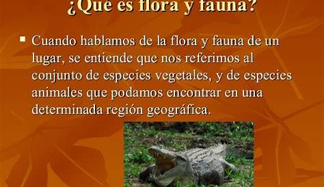 La flora y la fauna en Republica Dominicana: La flora y la fauna de