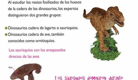 Fundacion Dinosaurios Cyl: Nuevo número del Diario de los Dinosaurios