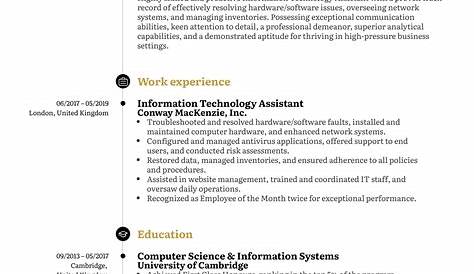 Information Technology Assistant Resume Examples Samples Support Sample