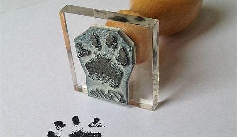 Pet Paw Print Kit | Inkless Paw Print Kit – Silver Pet Prints