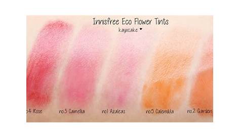 Innisfree Eco Flower Tint Swatch Balm ♡ All 5 Colors es