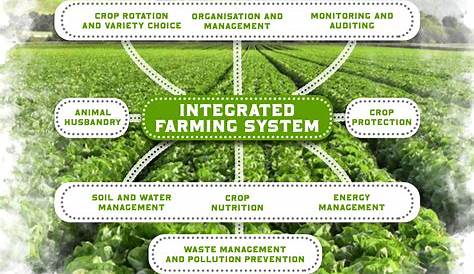 Integrated Farming System Pdf