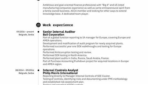 Sample Cv For Internal Auditor / Internal Job Resume Sample Page 6 Line