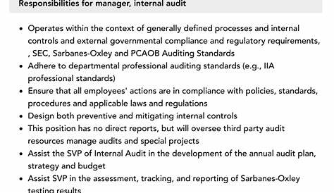 Manager, Internal Audit Job Description | Velvet Jobs