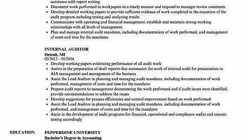 Internal Audit Analyst Job Summary For Resume - Resume Example Gallery