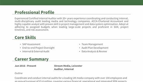 Best internal auditor resume example