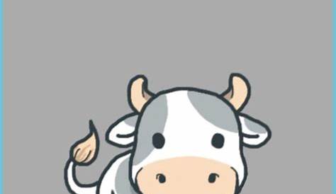 Iphone Cute Cow Wallpaper