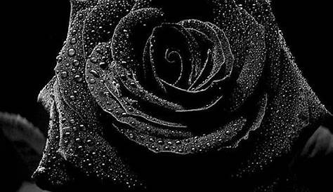 Iphone Wallpaper Pretty Black