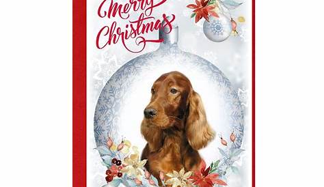 Irish Setter Puppy Dog Blank Christmas Card | Zazzle