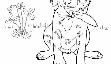 Irish Setter Coloring Pages - Make Wonderful World With Coloring
