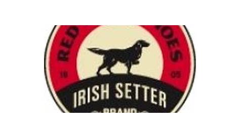 Irish Setter: Breed History - CaninePlanet.net