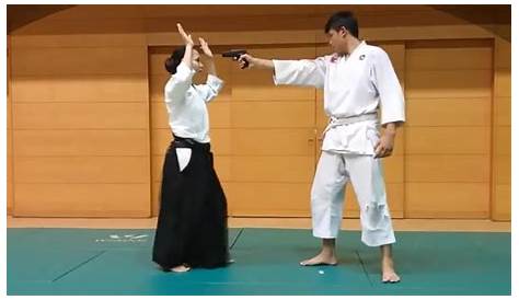 aikido martial art Stock Vector Image & Art - Alamy