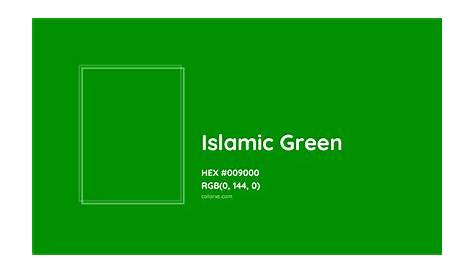 Symbol of islam crescent and star dark green Vector Image