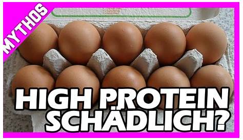 Zu viel Protein: Ungesund??? - HEALTH COACH BARDO Düsseldorf