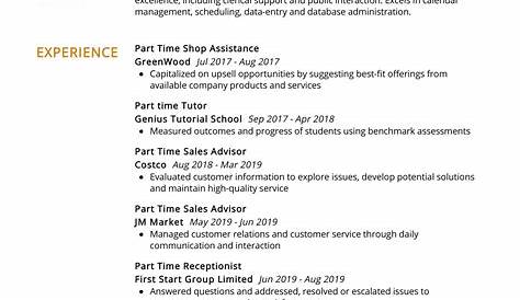 It Student Resume Examples Cv Templates