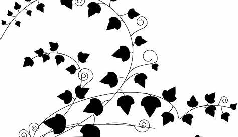 Ivy Leaf Clip Art Free Vector - Ivy Clipart Black And White – Stunning