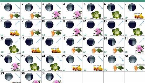 Calendrier lunaire, quinze jours avant – Jardinage, potager | Gamm vert