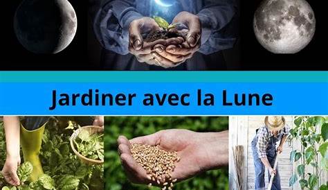 Jardiner Avec La Lune (edition 2023) | Croisy