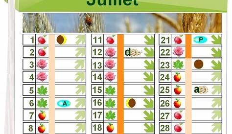 Jardiner avec la lune 2023 : quand planter vos fruits & légumes