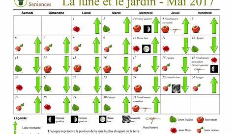 Jours feuilles 2023 🌿 : dates et calendrier lunaire 2023 pour le jardin