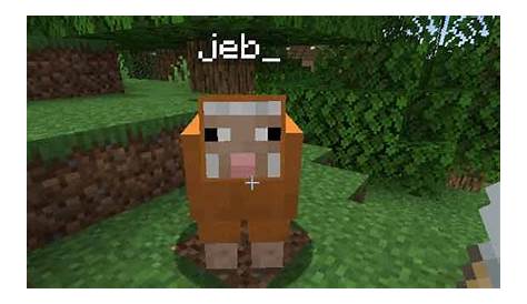 Jeb Minecraft Name Tag