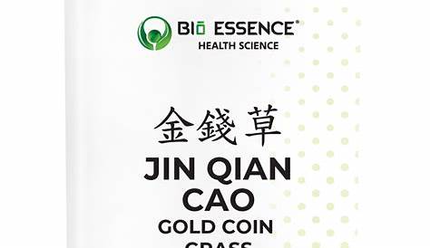 Jin Qian Cao - TCM Herbs - TCM Wiki