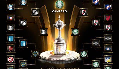 Copa Libertadores 2022 round of 16 final standings : soccer