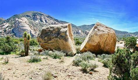 10 Cool Facts About Joshua Tree National Park