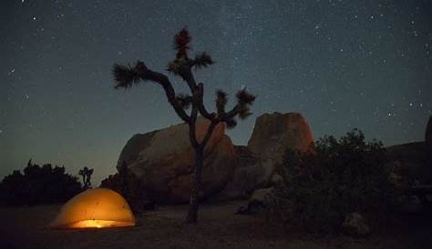 How to Plan a Perfect Trip to Joshua Tree National Park