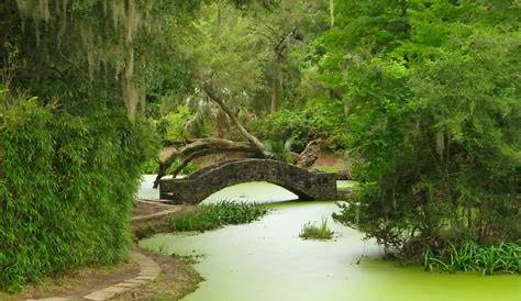 Jungle Gardens Avery Island 's Pamandedmundmcilhenny