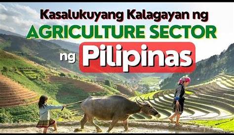 1.Paano mo ilalarawan ang kalagayan ng sektor ng agrikultura at