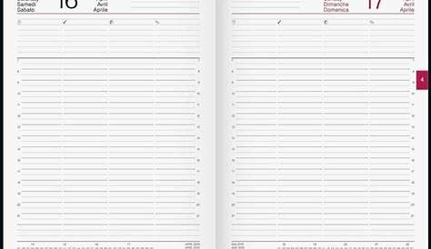rido Buchkalender 2019 Conform A4 metallic schwarz - Kalender portofrei