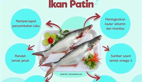 5 Manfaat Ikan Patin untuk Kesehatan Tubuh