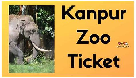 Jungle Water Park Kanpur Ticket Price