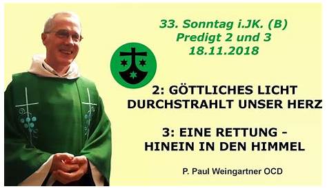 Evangelium und Predigt 10 Sonntag im Jahreskreis - YouTube