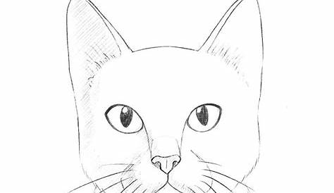 Schritt 4 Wie zeichnet man Katzen und Kätzchen Gesichter und Kopf