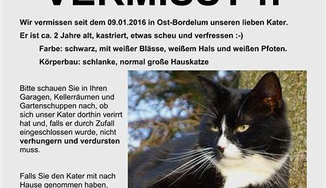 Toll Katze Vermisst Vorlage – Vorlagens Download 104612 - Muster