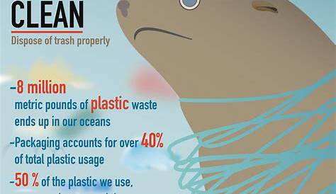 Beach pollution: How we can all play a part in keeping our oceans clean