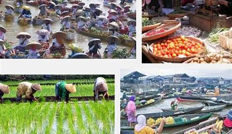 Hasil Utama Usaha Bidang Pertanian Di Indonesia Adalah - Homecare24