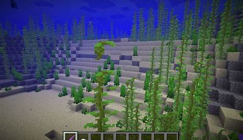 How To Use DRIED KELP In Minecraft YouTube