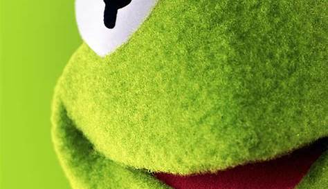 Aesthetic Iphone Kermit The Frog Wallpaper Largest Wallpaper Portal