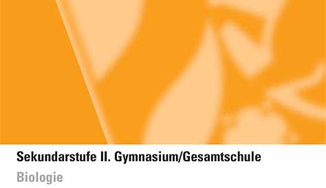 Kunst - Kernlehrplan, Gymnasium/Gesamtschule, Sek II-4703n